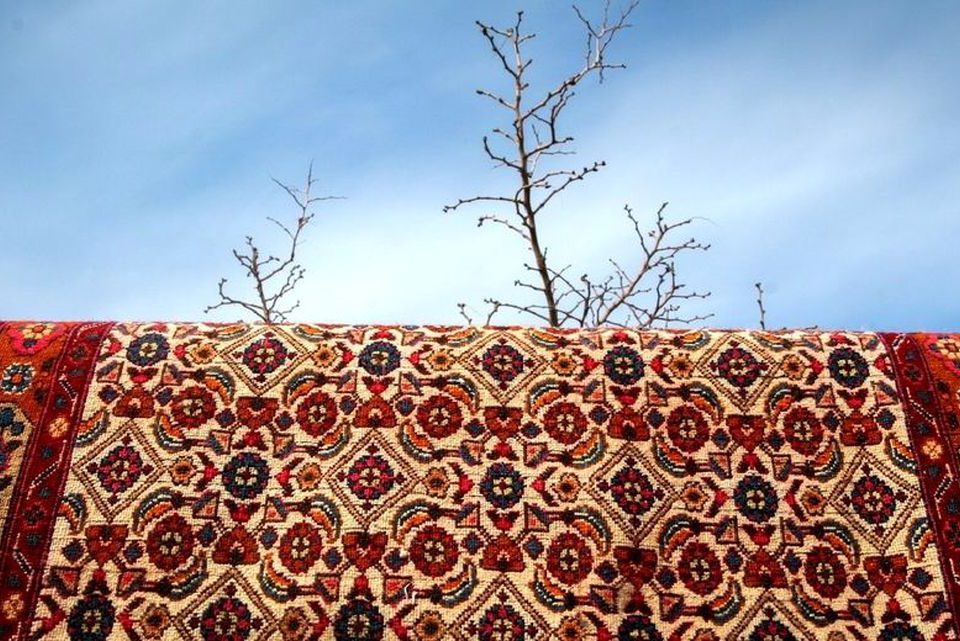 قالیشویی در جنوب تهران